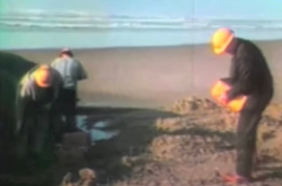 1970 Oregon Whale Explosion