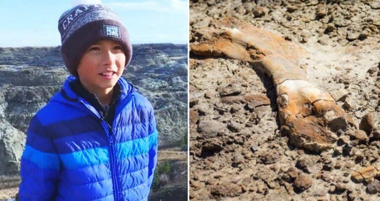 Nathan Hrushkin Dinosaur Fossil Discovery