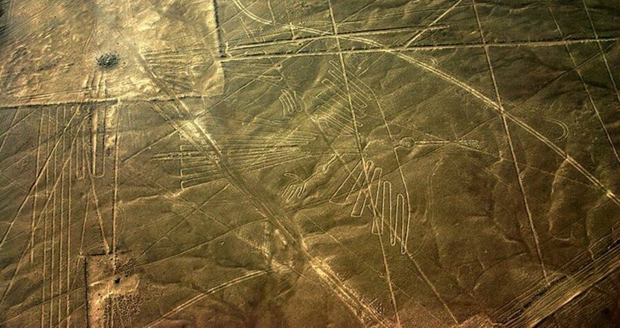Archaeologists Unearth Cat Drawing At Peru's Famous Nazca Lines Site