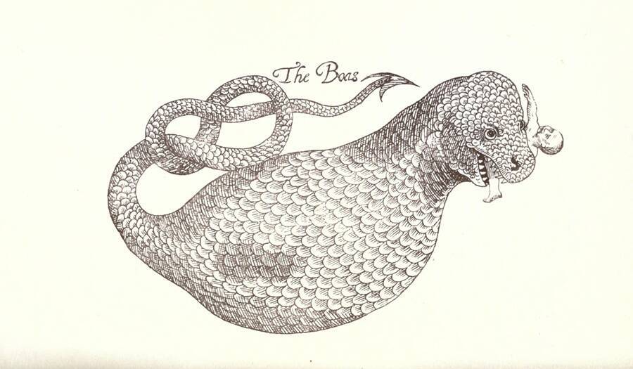 39 Incredibly Detailed Drawings Of Sea Creatures From Centuries Past