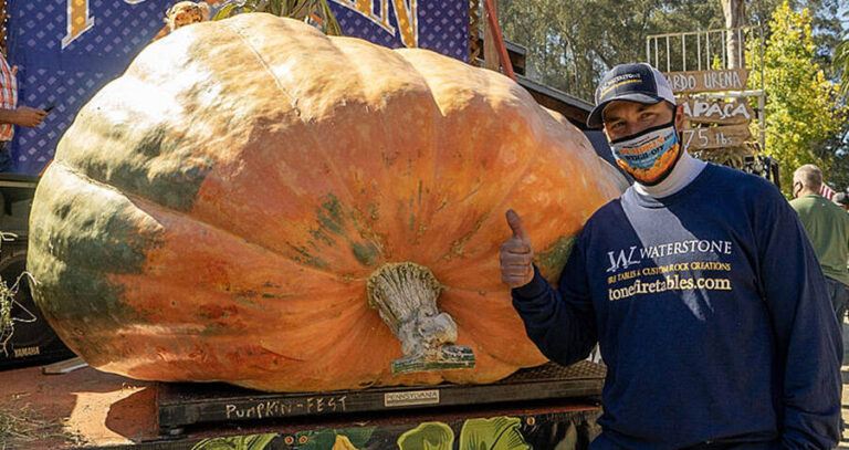 Tiger King The Pumpkin And Gienger