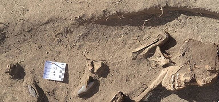 9,000-Year-Old Remains Of Female Hunter Found In Peru