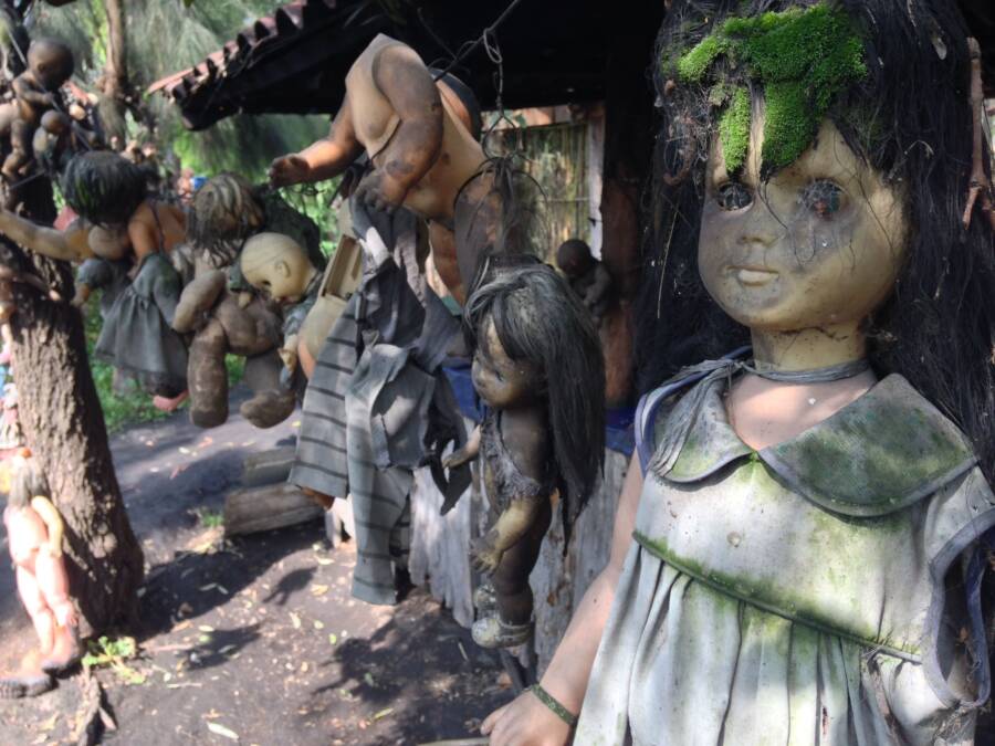 Mexico's Island Of The Dolls In 27 Disturbing Photos