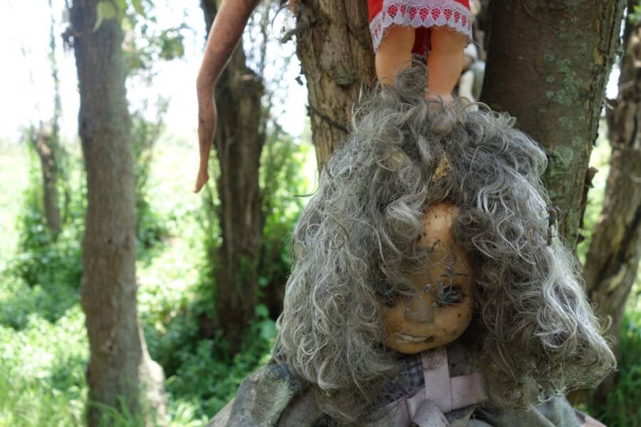 Mexico's Island Of The Dolls In 27 Disturbing Photos
