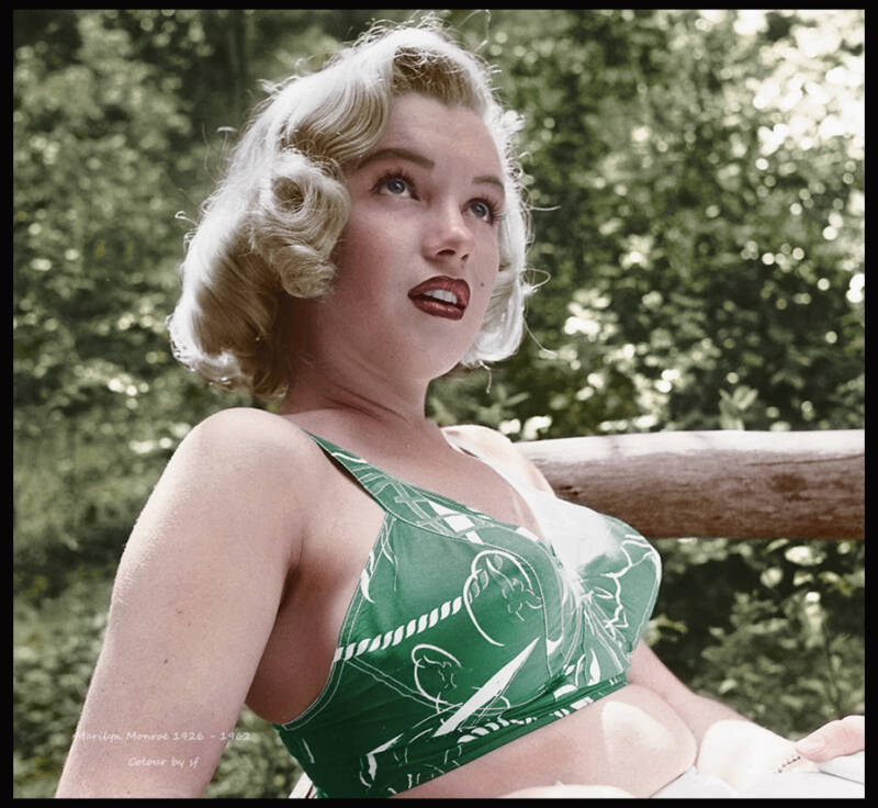 Marilyn Monroe The Pinup Girl