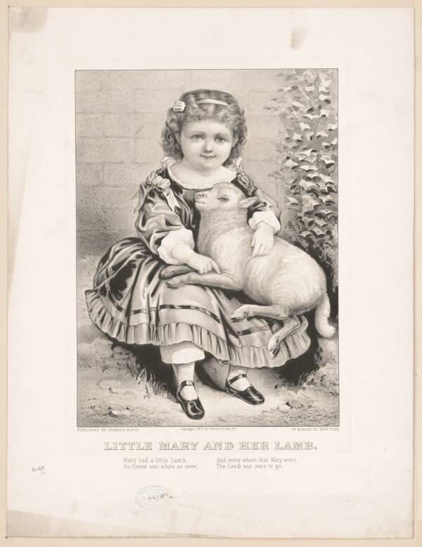 Little Mary And Her Lamb