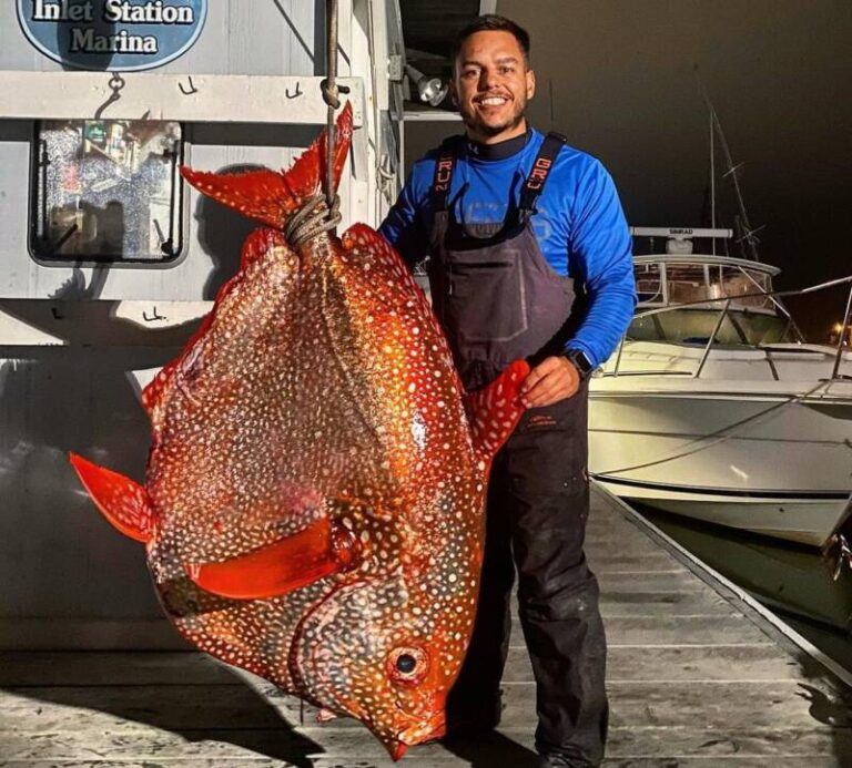 Rare 143Pound DeepSea Opah Fish Caught Off The Coast Of Virginia