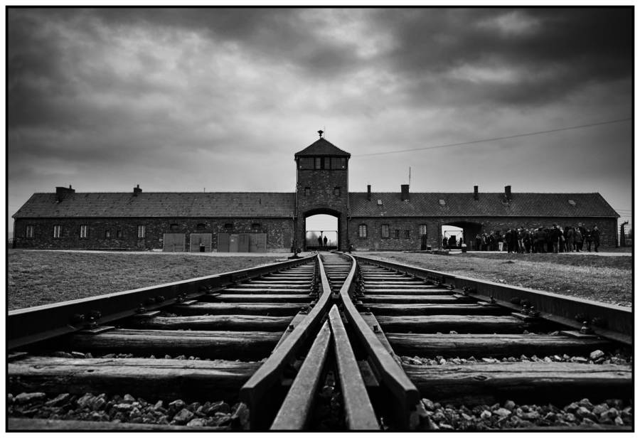 Auschwitz Tracks And Gate