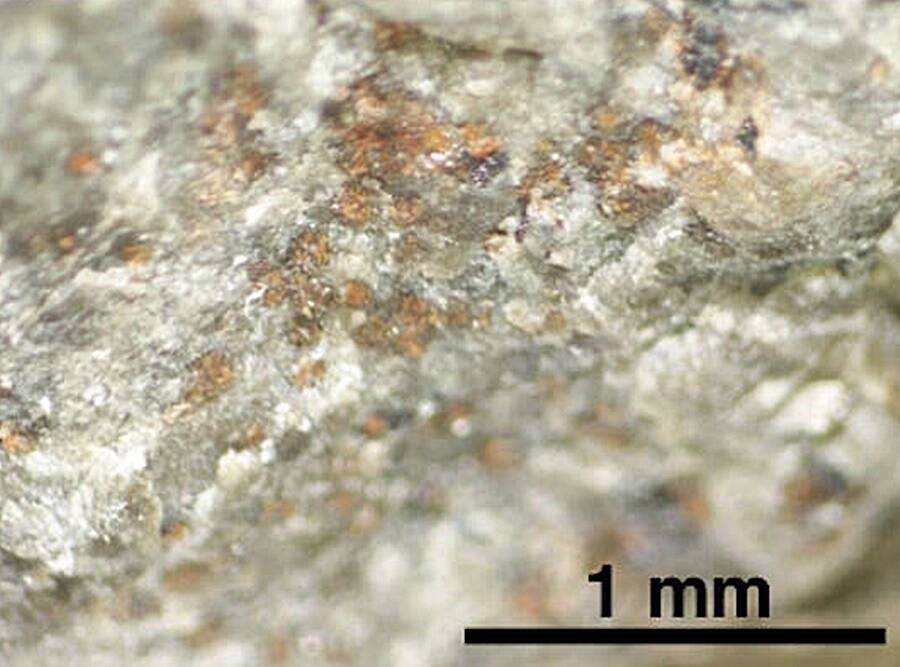 Carbonate On Martian Meteorite