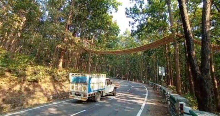 Truck Under The Bridge