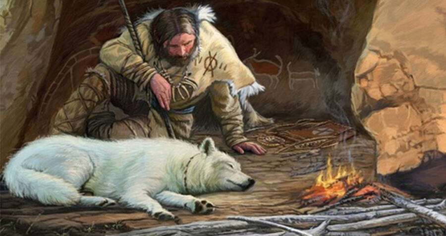 First Settlers In The Americas Brought Their Dogs With Them, Study Says