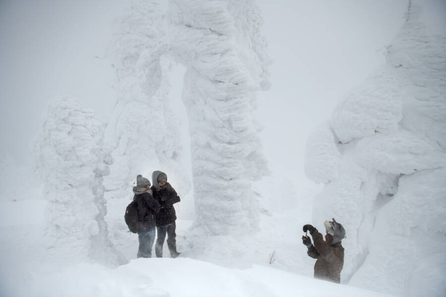 Juhyou, The Japanese Snow Monsters Nearing Extinction