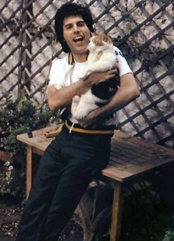 13 Rare Photos Of Freddie Mercury And His Cats 