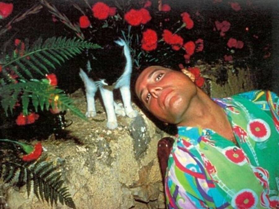 Freddie Mercury And His Cat