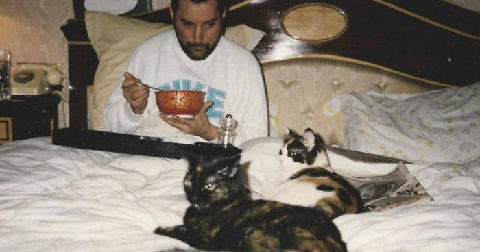 13 Rare Photos Of Freddie Mercury And His Cats