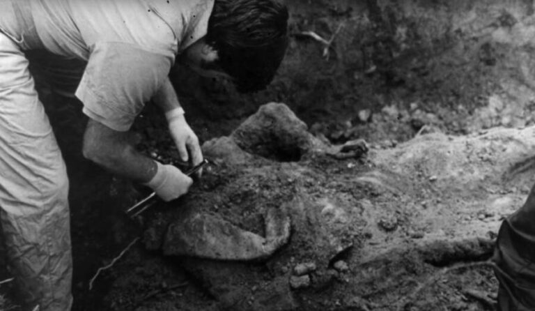 How Donald �Pee Wee� Gaskins Terrorized 1970s South Carolina