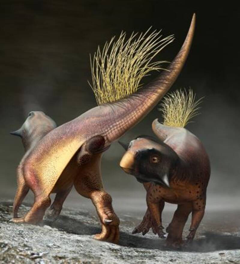 Psittacosaurus Illustration