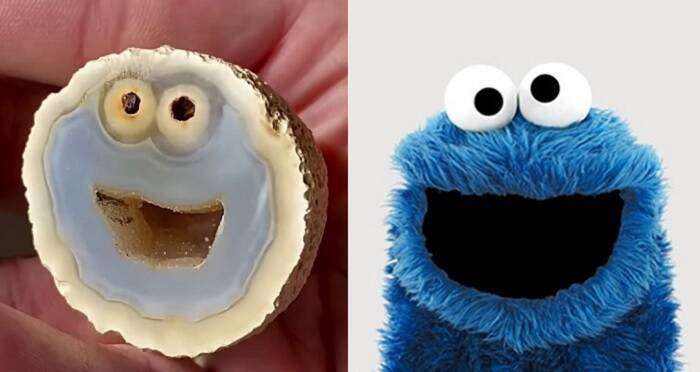 Now Available: A Cookie Monster Photo Puppet Replica!