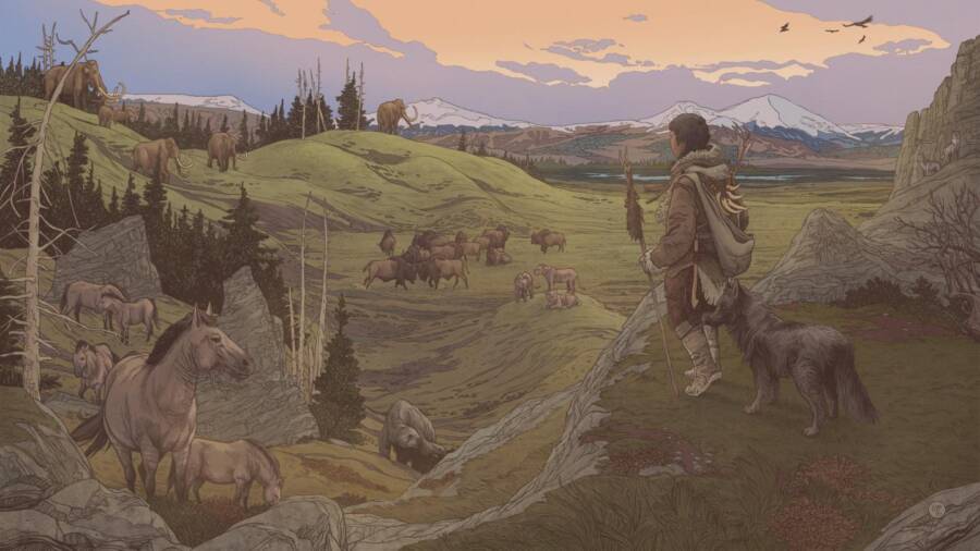 Settlers With Dogs Illustration