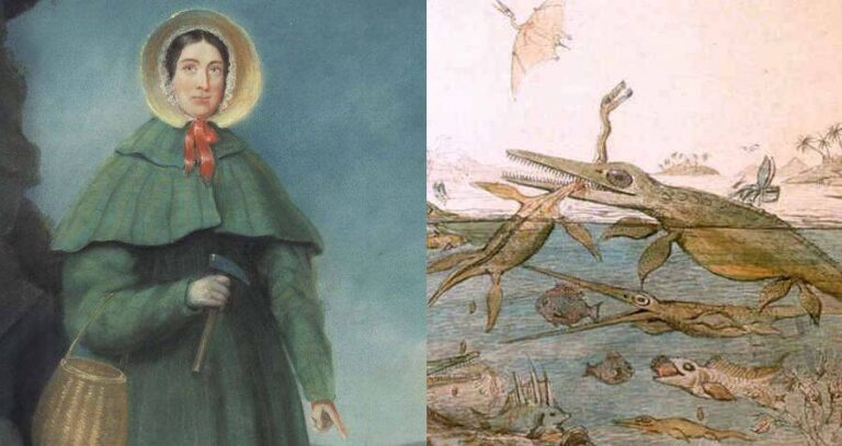 Mary Anning And Dinosaurs