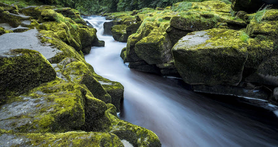 Why Bolton Strid May Be Earth's Deadliest Body Of Water