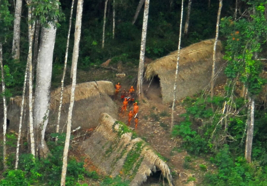 Uncontacted Amazon Tribe