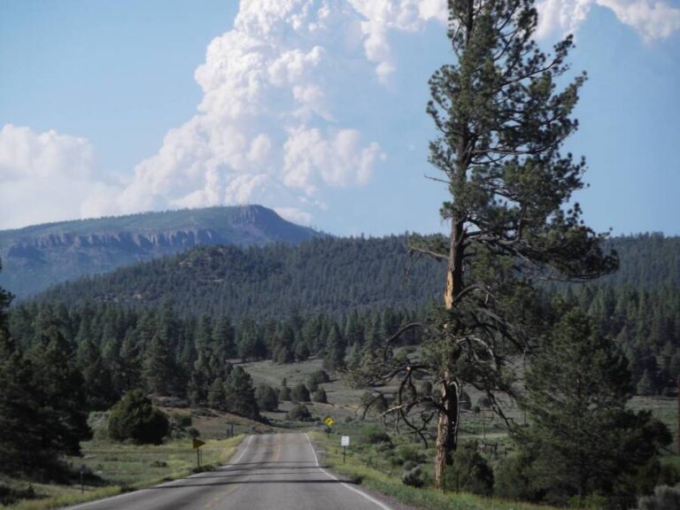 Inside Dulce Base, The Rumored Alien Laboratory Under New Mexico