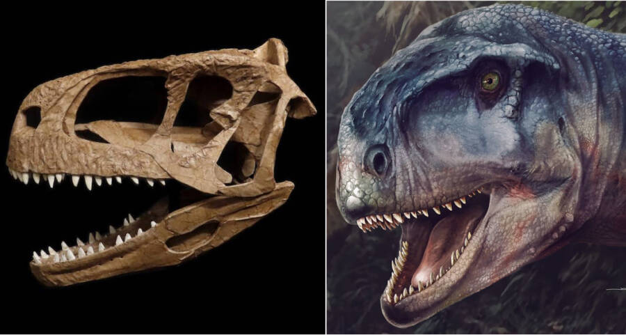 Scientists Are Calling This Newly-Discovered Cousin Of T. Rex 'The One Who Causes Fear'