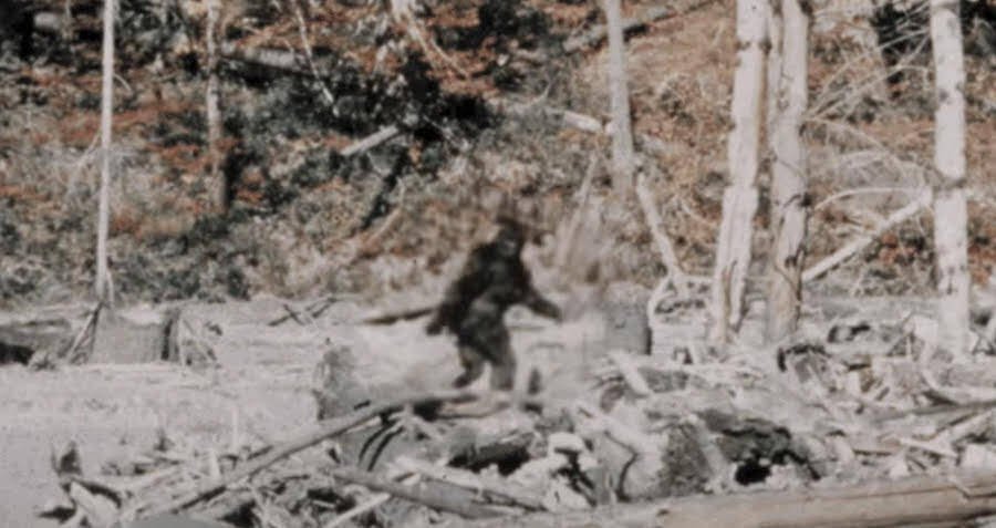 The 10 Most Convincing Bigfoot Sightings