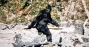 Patterson Gimlin Still