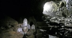 Viking Cave Apocalypse