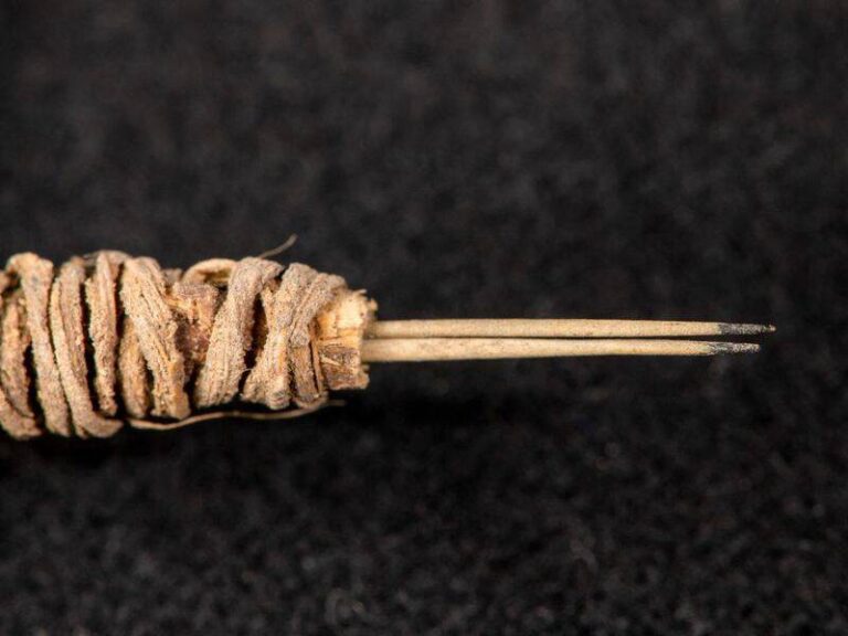 Archeologists Find World's Oldest Tattoo Needles In Tennessee
