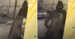 CCTV Footage Of Pronina