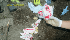 Cassie Jo Stoddart And The Grisly Story Of The 'Scream' Murder