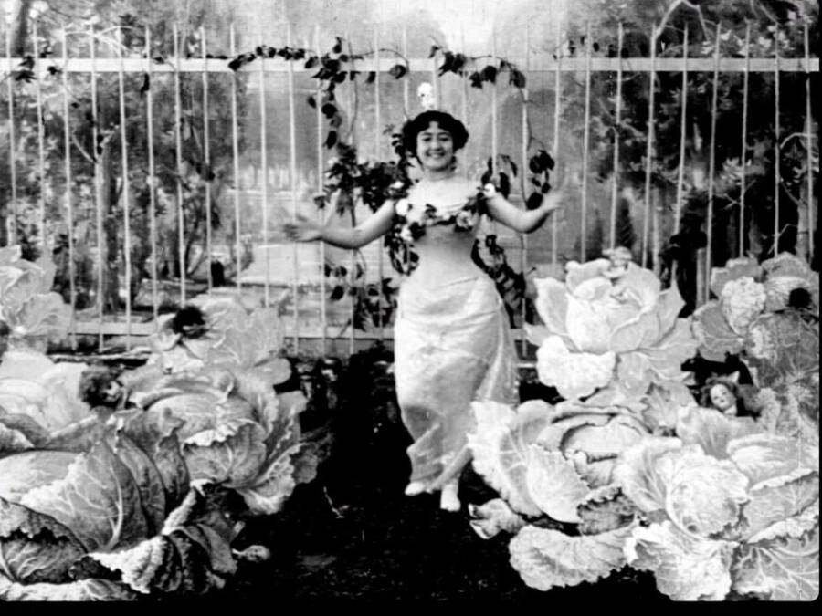 The Cabbage Fairy