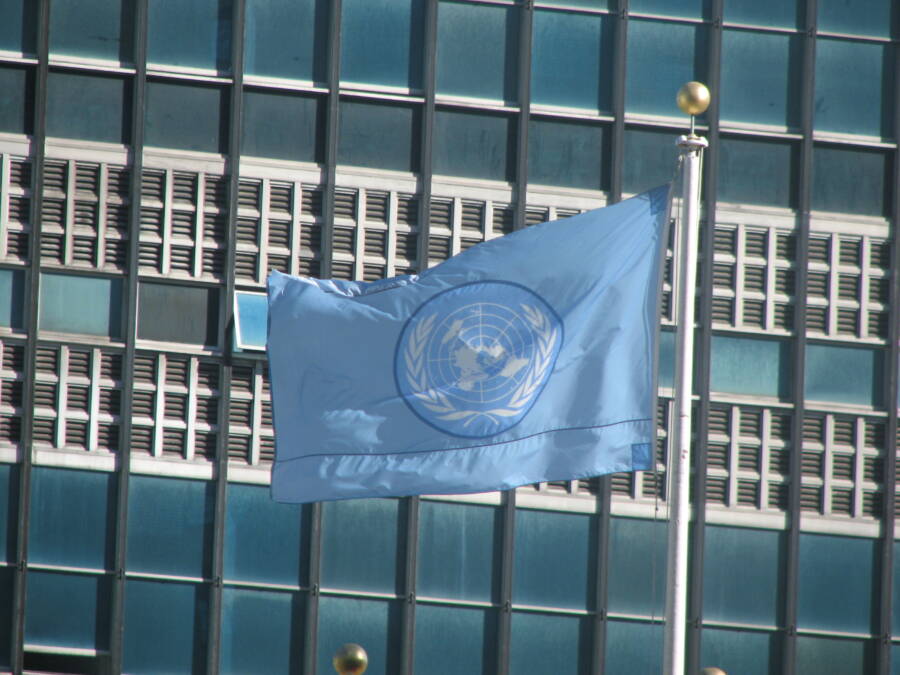 United Nations Flag And Building