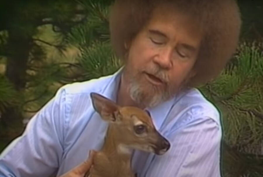 Bob Ross With Deer