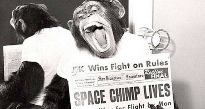chimpanzee astronaut