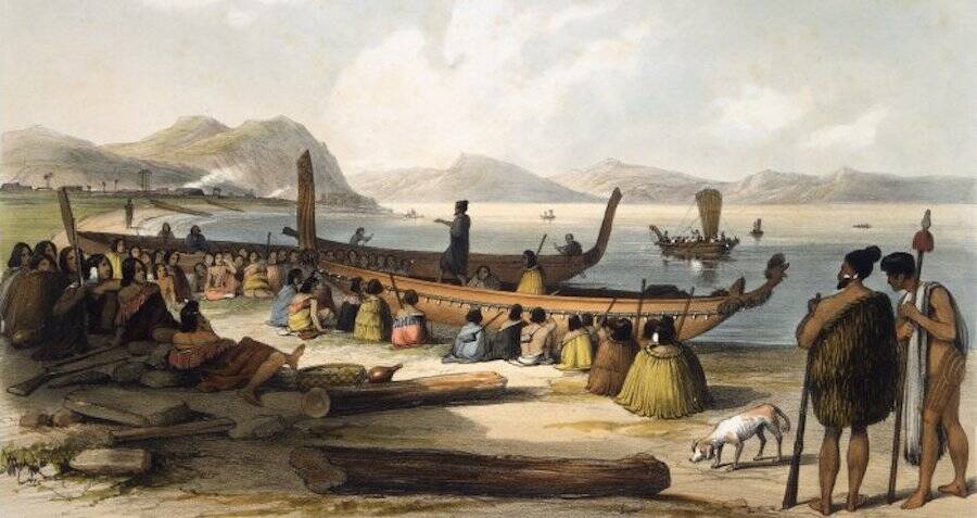 Māori Sailors Reached Antarctica Centuries Before Europeans, Study Says