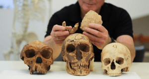 Nesher Ramla Homo Featured