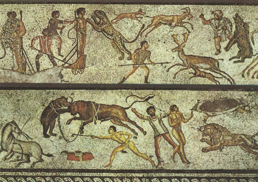 Venationes, The Brutal Animal Battles Of Ancient Rome