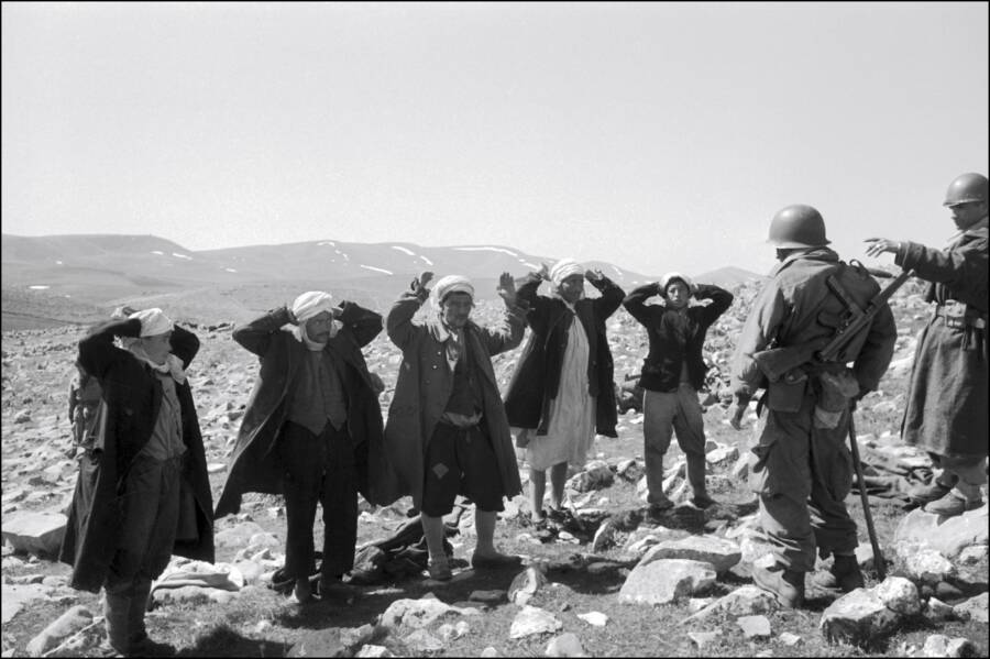 33 Photos Of The French Algerian War That You Don T See In History Books   War Prisoners With French Troops 