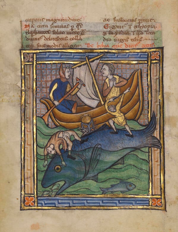 Aspidochelone From A French Manuscript