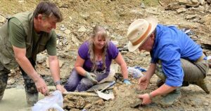People Digging At Cotswolds