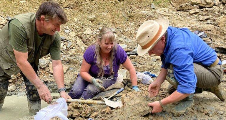 People Digging At Cotswolds