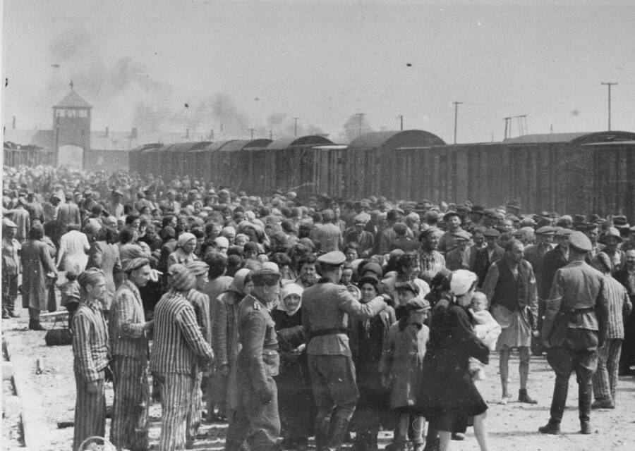 Auschwitz Prisoners