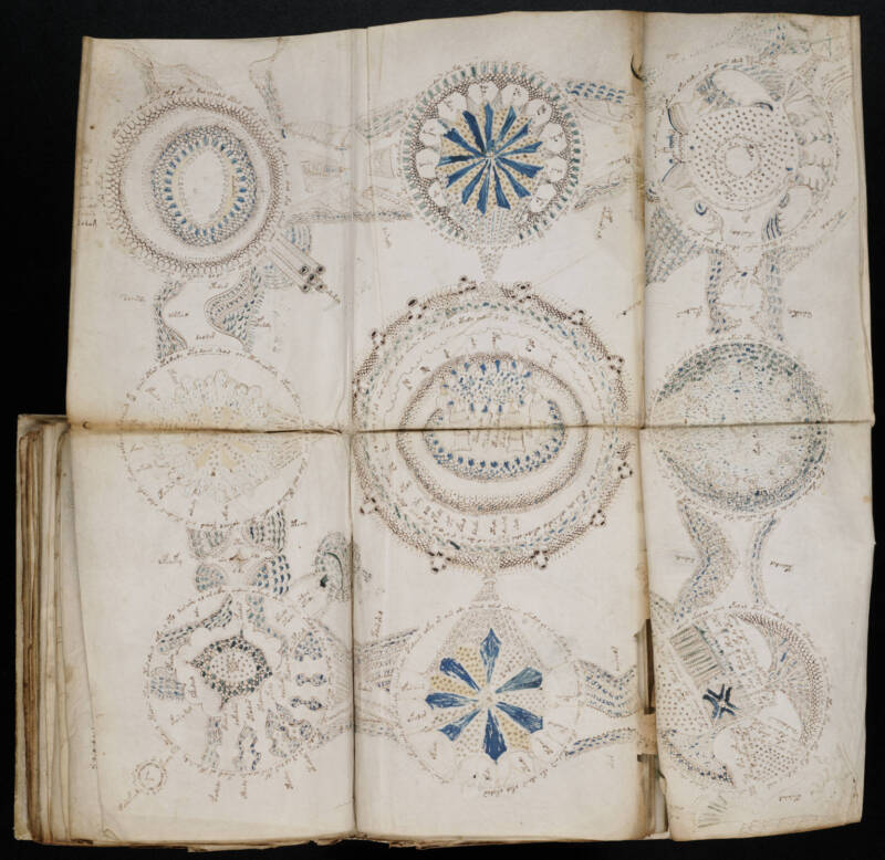 Folded Out Pages Of The Voynich Manuscript