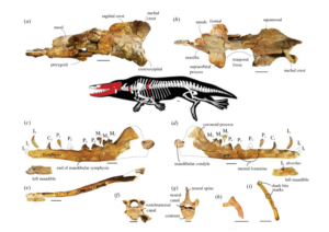 paleontologists
