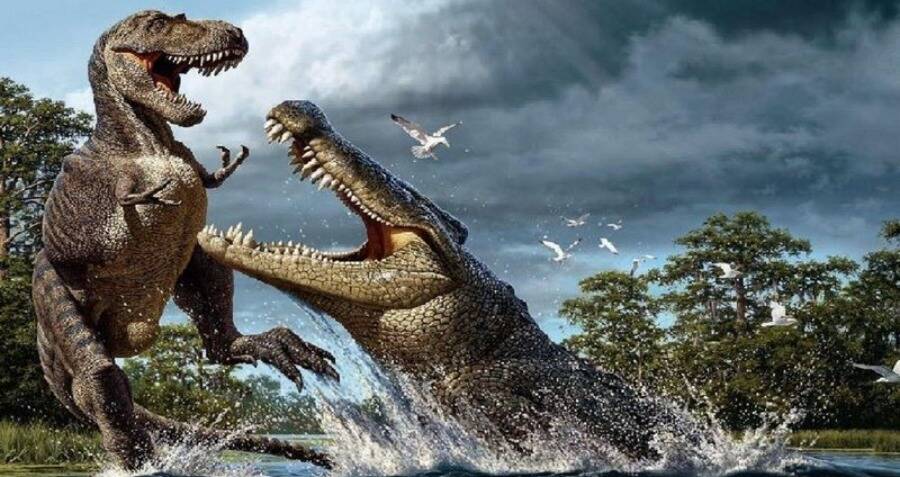 Purussaurus, The Prehistoric Predator More Powerful Than T.Rex