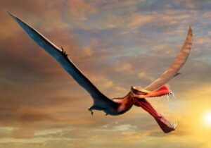 police fossil traders prehistoric flying reptile